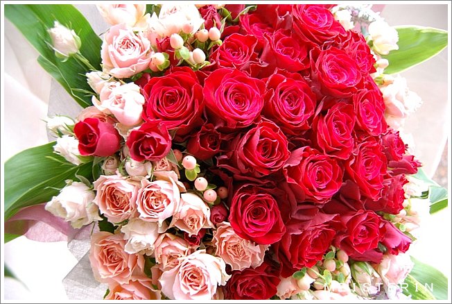 豪華でかわいい赤とピンクの薔薇の花束 ドイツマイスターの花束専門店 プロポーズフラワーショップ