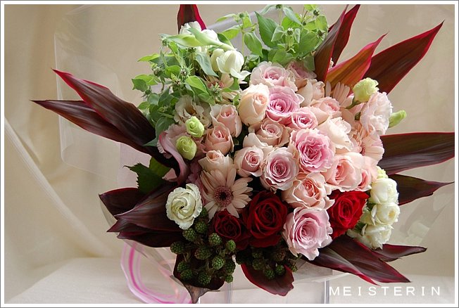 ピンクのバラ 赤ドラセナ ドイツマイスターの花束専門店 プロポーズフラワーショップ