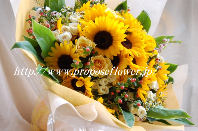 ひまわりの花束でプロポーズ ドイツマイスターの花束専門店 プロポーズフラワーショップ